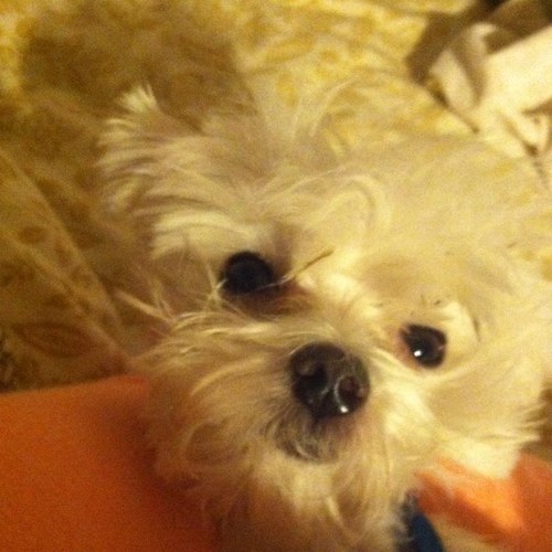 aweb3388's profile picture. Trapped in awkward 20-something oblivion. Rants, raves, and a little bit of sarcasm.