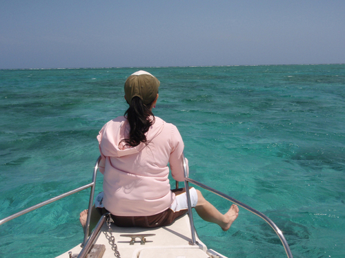 uogiku's profile picture. I love fishing！ 渓流ベイトフィネス始めました！登山もはじめました！遊ぶために、美味しいものを食べるために仕事もします。