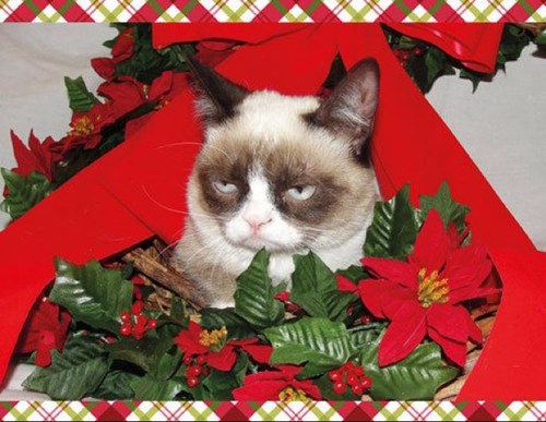 I am very grumpy and life sucks!