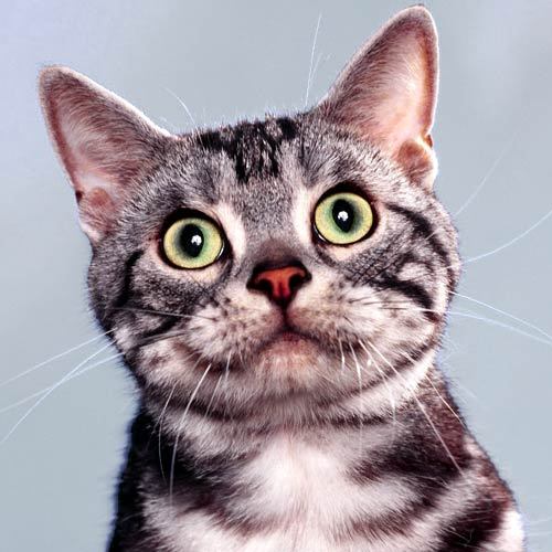 manjani3's profile picture. Provide Consulting Services and Products to Help Home Stagers Improve Their Marketing Skills and Grow Their Business