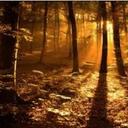 Anna Flower - @Anna34720433 - Twitter