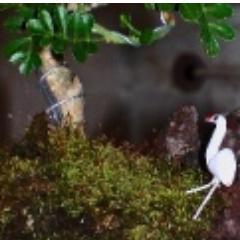 GreenPakistan2's profile picture. An online news agency focusing on environmental issues. 
green_pakistan@ymail.com, http://t.co/vbL8kUiD Curators @Waseem_Khokhar, @diyasa30