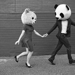 Sono un Panda in cerca di coccole. Chi mi adotta? :3