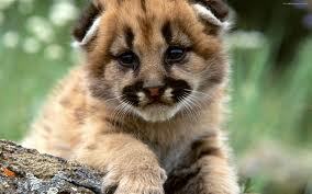 ChandraAaliya's profile picture. Avid Foodie. Call me maybe?!