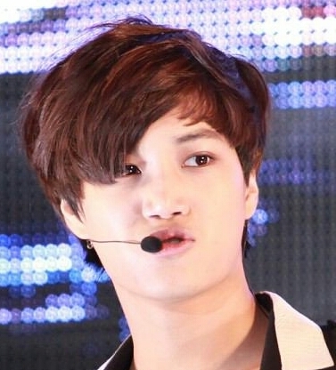 EXO KAIbot. 基本s~