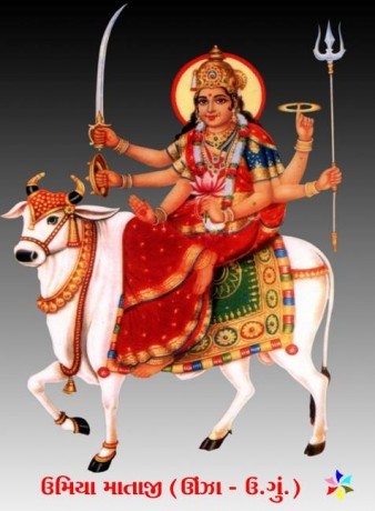 Joint My Face Book, Linked In, Twitter, Google+, Yahoo Group, Skype Id Gayatri Emp, Gayatri Solu, Gujarat Patel, Gujarat Teach, Chaurasi Samaj Kadva Patidar,