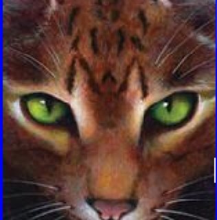 I'm the deputy of Thunderclan! Follow me if you are a fan of Warriors and me!