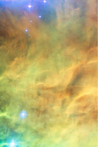 kamitonotaiwa_3's profile picture. 