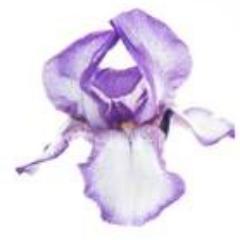 Lady_Cara_Mel's profile picture. “Be who you are and say what you feel, because those who mind don't matter, and those who matter don't mind.” 
― Dr. Seuss