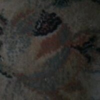 jav 𝓽𝓷𝓭سَُــكَُـسَُ سِِكُسْ_كتَاب (@1h2h3h4) 's Twitter Profile Photo