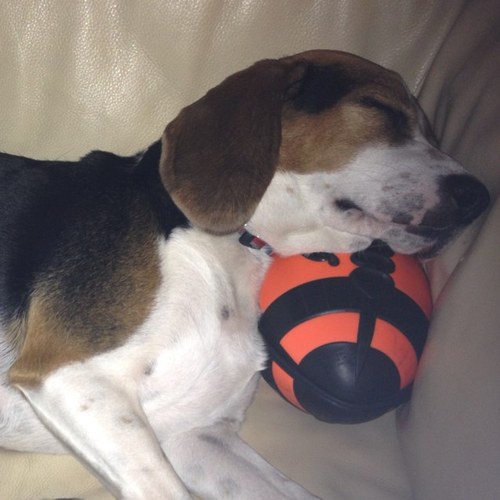 reynorshine's profile picture. 