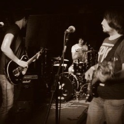 yayforbrad's profile picture. 