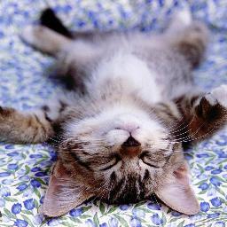 Azat_Bareev's profile picture. 