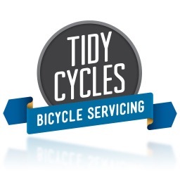 whenever I see an adult on a bicycle, I have hope for the human race! H.G. Wells