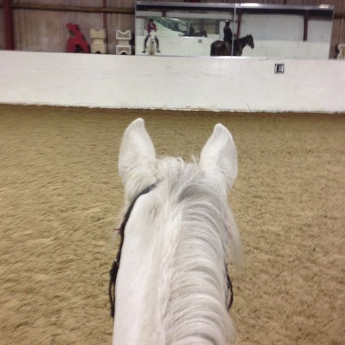 MyBabyBella's profile picture. 💜Revenge &The West Wing💜Donna&Josh💜Jemily forever💜Keeley Hawes💜Nicola Walker💜S Club 7💜Amanda M(Connie Beauchamp)💜Susanna&Kevin💜Girls Aloud💜Rylan💜hugs