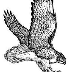 nasur22_'s profile picture. Analizar, pensar antes de tomar decisiones importantes, aprender para mejorar dia a dia y ayudar