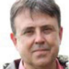 Periodista i artivista