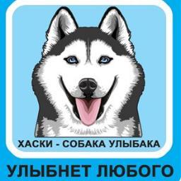 RomanKomar777's profile picture. #RuFollowBack #RuFollow #AutoFollowBack #ЧитайМеняАяТебя #ВзаимныйФолловинг 
#ЯВсегдаЧитаюВзаимно  #follow #followme
#Болеечитаемые #followback #FF_RU #F4F