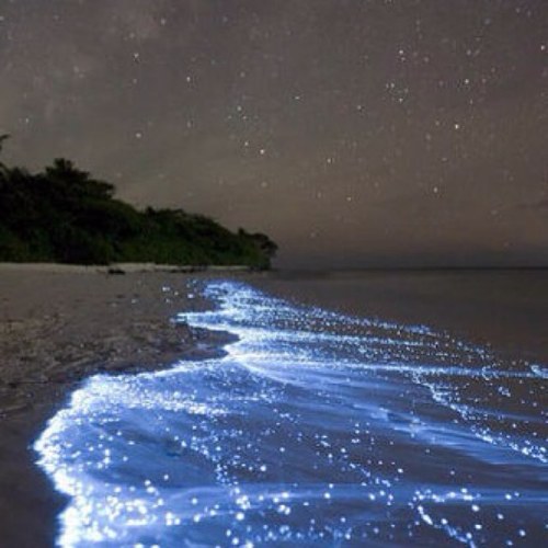 lo0fa's profile picture. 