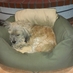 Jose Luis (@japeralsoler) Twitter profile photo
