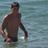 AlexMenno's profile image
