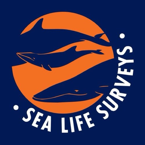 UK's First and most experienced whale watching company. Four Stars Visit Scotland. GOLD Green Tourism Award. 2016 is our 34th Year of Operation!