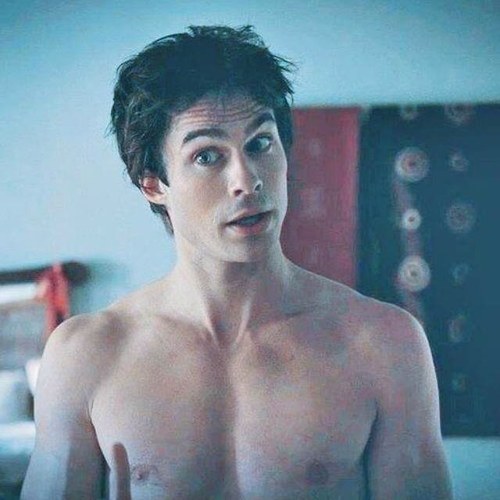 Cunning, greedy, arrogant and a bastard. That's me, Damon Salvatore. {RP} Taken by @CunningKillerEl touch her and i will rip your heart out.