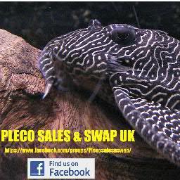 Twitter & Facebook groups all about south american plecos