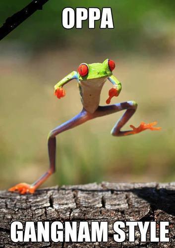 Chachoulover's profile picture. 