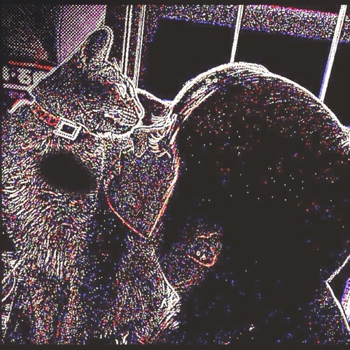 KKaNaKK's profile picture. 今日をいきる！！！！！