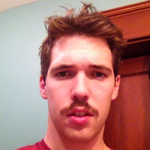 higgy146's profile picture. 