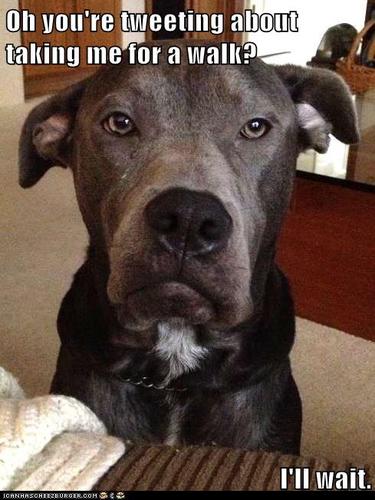 maximlucille's profile picture. We both know how you got here.