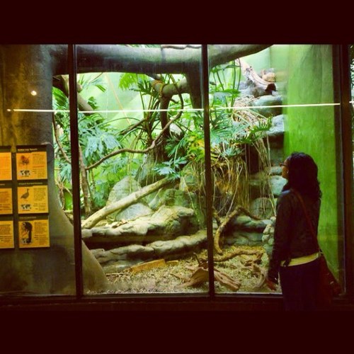 atlight's profile picture. It's whatever