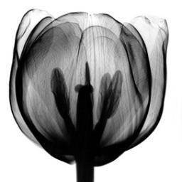 Life isn't a tiptoe through the tulips. #makeitcount