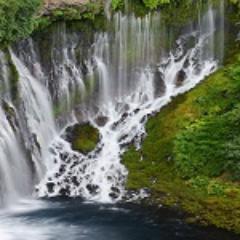 Your magnificence has made me a wonder. Your charm has taught me the way of love.― Rumi