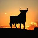 david soltero - @soltero_guada - Twitter