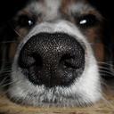 Jack Gatti - @GattiJack - Twitter