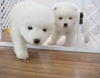 트윗에서만은 일코해제..♥
