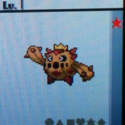 詳しいノクタスbot ノクタスの生息地 Rsem なし Frlg なし Dppt 228番道路 Hgss 全国図鑑入手後 サファリゾーンにて出現 条件はサバンナ森18個日が最短 Bw なし Bw2 全国図鑑入手後 リバースマウンテンにて大量発生