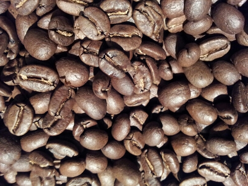 hiwonny's profile picture. 