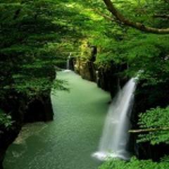 When the mind is transcended, the supermental consciousness steps in of itself.-Mouni Sadhu