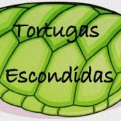 Twitter de apoyo a las Tortugas Escondidas de @MalditaNerea: Jordi y @Perikobass!!

DEJA TU PREGUNTA PARA JORDI O PEDRO  :) https://t.co/CSkbfo5Dm3