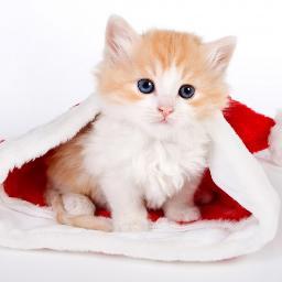 coucou ces sarah j'ai 14 bientot 15
