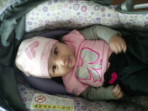 koldest_btc's profile picture. 