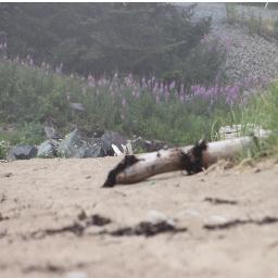 KimKirk14's profile picture. 