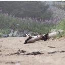 Kim Kirkpatrick - @KimKirk14 - Twitter