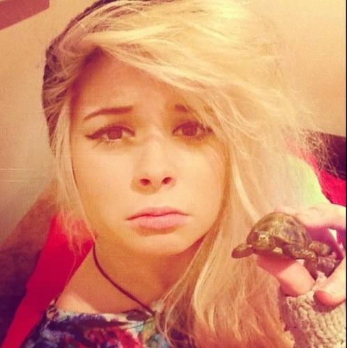 HelpfullHearts's profile picture. Hi Im Turtle Nesbitt , @ninanesbitt 's turtle .Even turtles can be music fans.