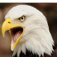 محمد شهاب | مطور أعمال (@m_h907) 's Twitter Profile