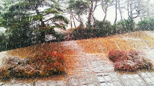 kimmyo1532's profile picture. 뭐