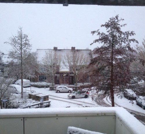 Kxkees's profile picture. 